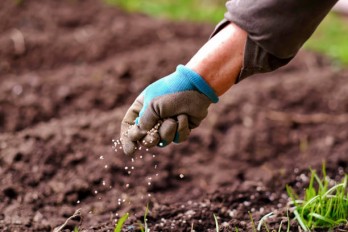 Yuntianhua demonstrates its commitment to ensuring supply and stabilizing prices.
