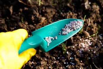 Yuntianhua Makes Every Effort to Ensure Fertilizer Supply and Price Stability